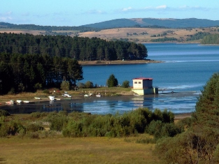 vlasina 1