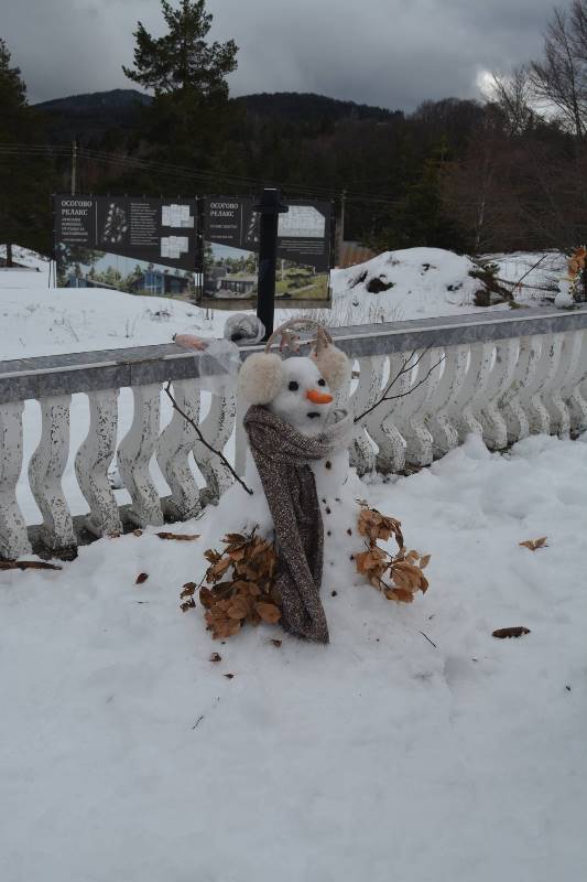 snejno-11