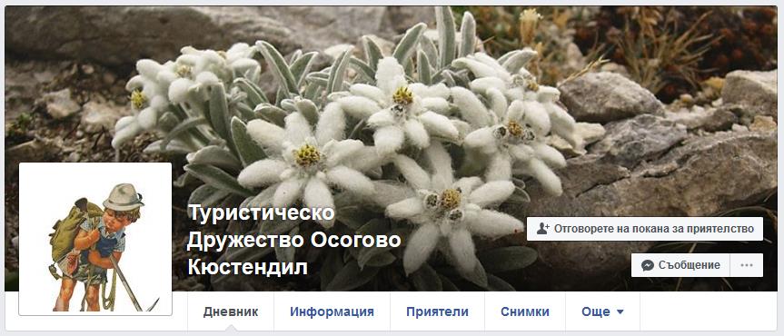 facebook td osogoovo header