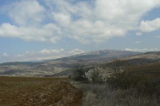 verila 15
